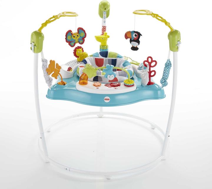 Image du produit Fisher-Price Amis des animaux Jumperoo