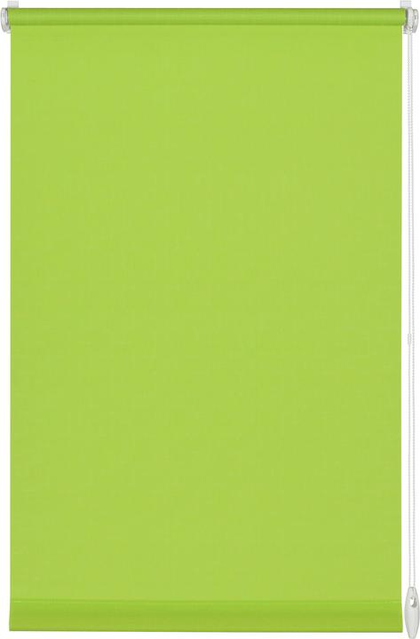 Vert (80)