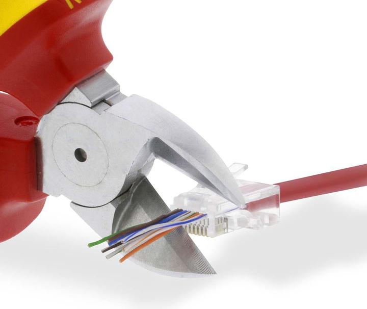 Productafbeelding Nedis RJ45 plug | RJ45 Doorvoer | Gestrand UTP CAT5 | Recht | Verguld | 10 stuks | PVC | T (UTP, CAT5e, 0.02 m)