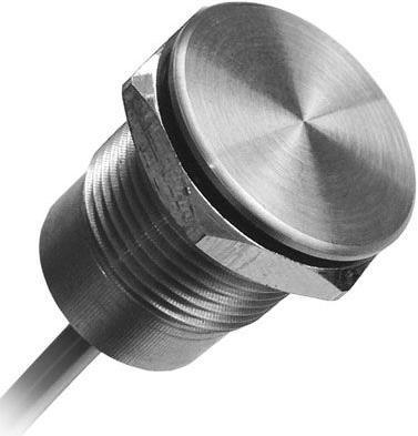Image du produit Bulgin Piezo,1A,24VDC,Flat btn,SS,22mm