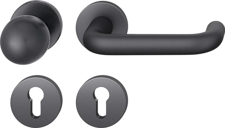 Actual product image FSB Interchangeable set 12 1070 ASL on rose PZ, fixed knob, black matt (Door set)
