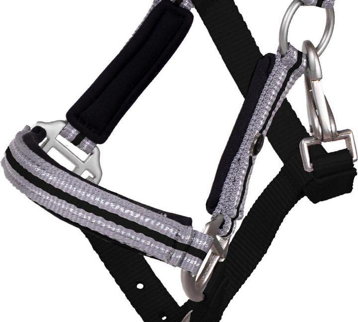Actual product image Qhp Halter for foal with browband