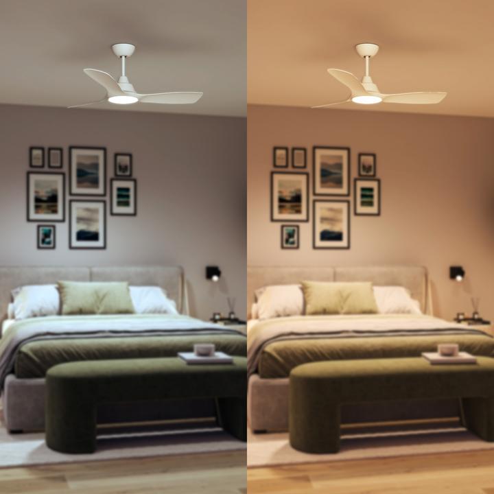 Actual product image Philips Fan Ceiling Light 30(Fan)+24(Light)W