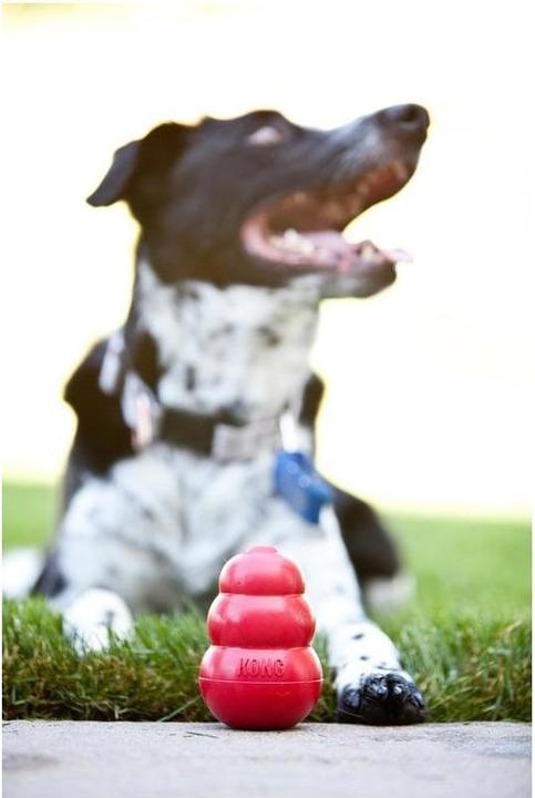Produktbild KONG Classic (Apportieren, Futterspielzeug Hund, Kauspielzeug Hund)