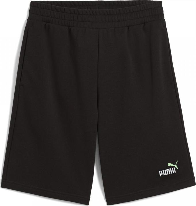 Puma ESS 2 COLOR No. 1 Logo Shorts 10" TR
