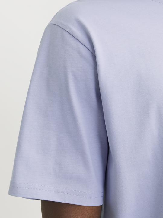 Produktbild Jack & Jones Jorvesterbro Tee Ss Crew Neck Noos (XXL)
