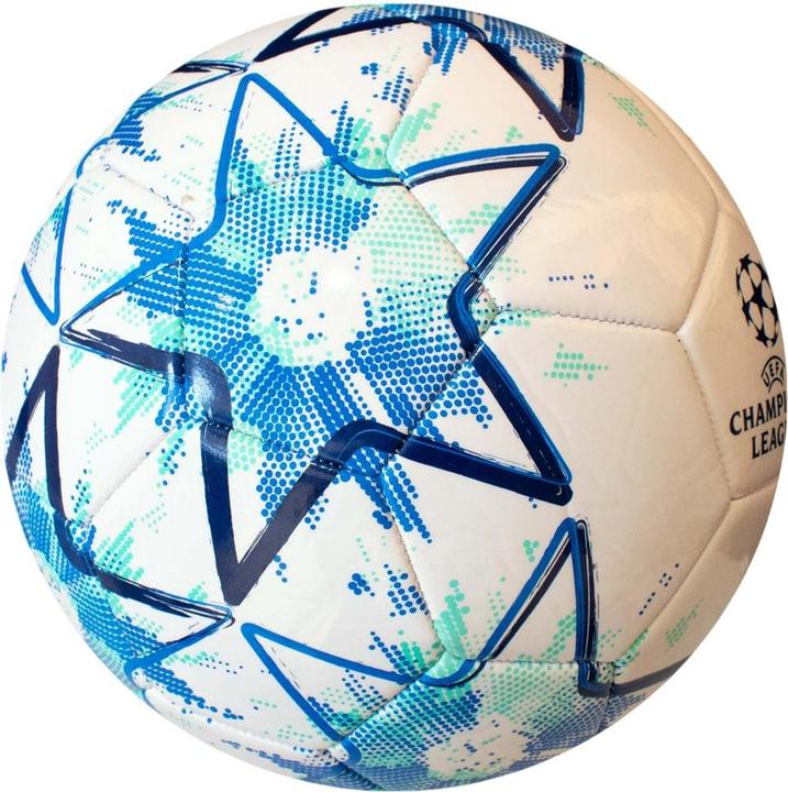 Uefa Fussball Stern (5)