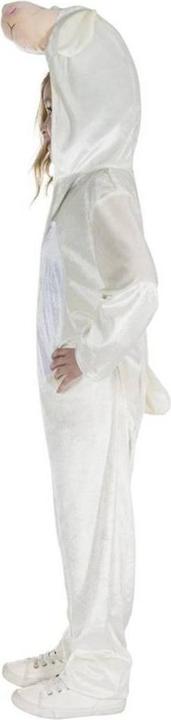 Image du produit Smiffys - Déguisement - Enfant (92)