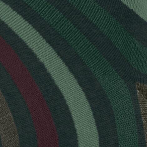 Actual product image Falke Tinted Stripe SO (Single pack, 47 - 50)