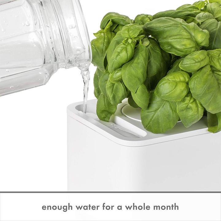 Actual product image Click and Grow smart garden (31.50 cm)
