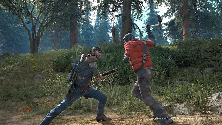 Produktbild Sony Days Gone - Special Edition (PS4, Multilingual)