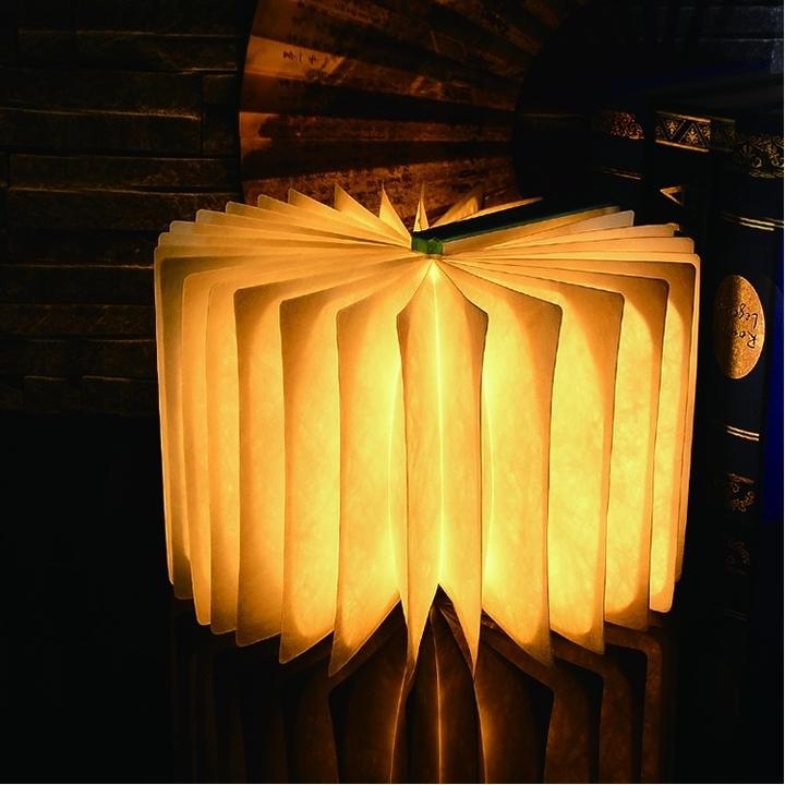 Immagine prodotto Happy Lamp R Lampada Noce