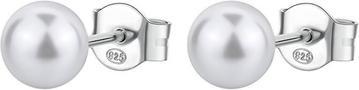 Image du produit Brosway Silver Earrings With Artificial Pearl Infinite White Fancy Fiw142