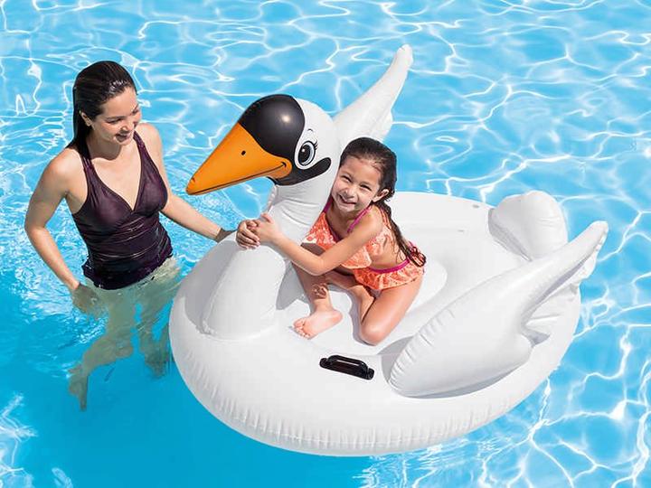 Actual product image Intex Swan ride-on