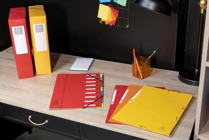 Produktbild Exacompta Sammelmappe (A4, 1 x)