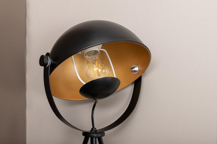 Image du produit Venture Home Lampe de table Search (E27)