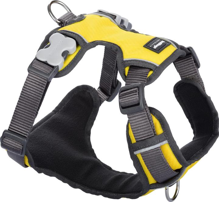 Red Dingo Padded Geschirr (L, Hund, Allgemein)