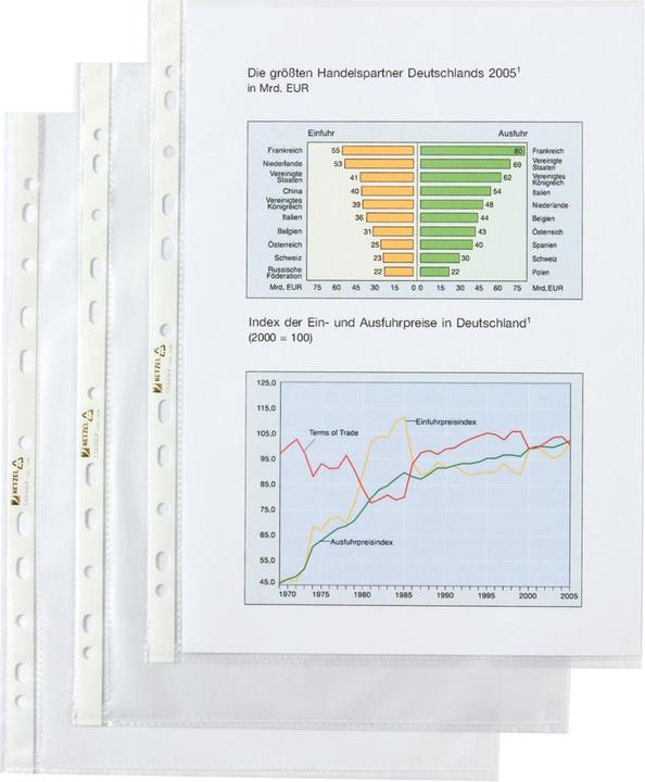Actual product image Prospect sleeves Economy Grained A4 (A4, 100 x)