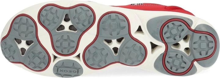 Actual product image Geox Sneaker (40)