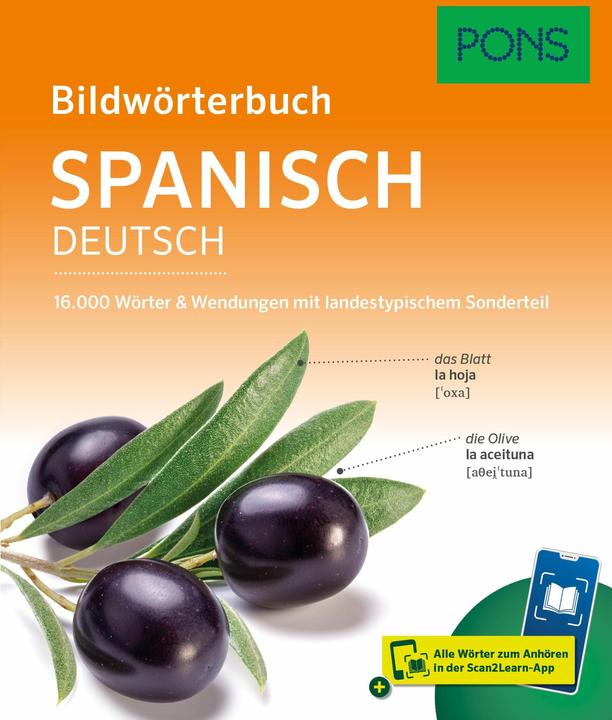 Produktbild PONS Bildwörterbuch Spanisch (Deutsch, Spanisch, 2025)