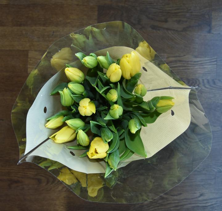 Produktbild Tulpen 20 Stk. (Schnittblumen)