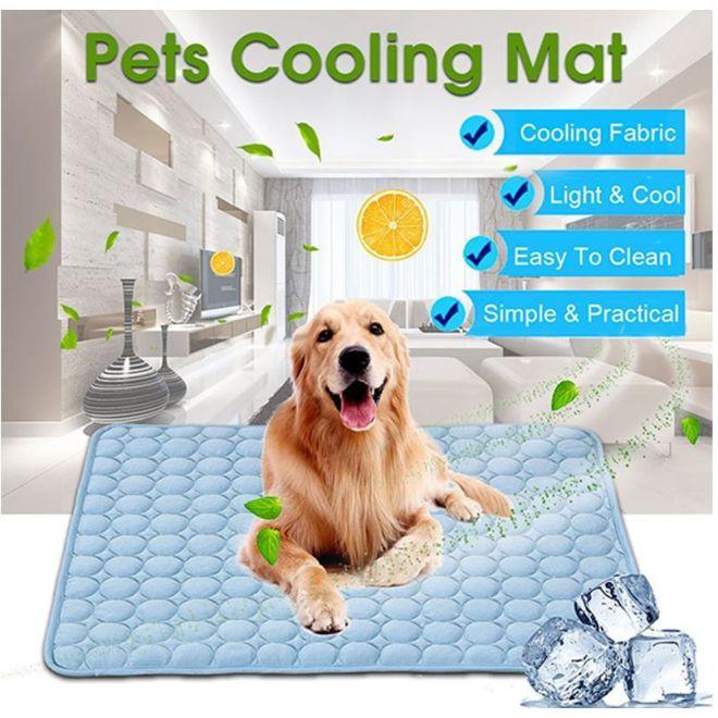 Image du produit MU Classic Ice Series (Chien, Chat)