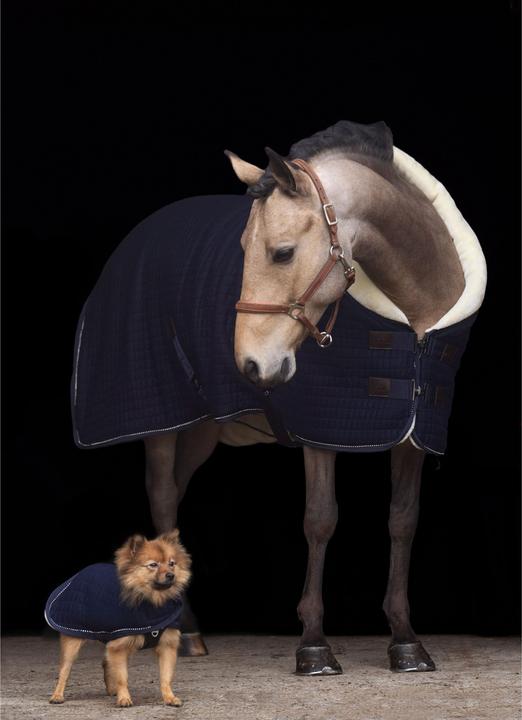 Produktbild HV Polo Franka (M, Hundemantel)