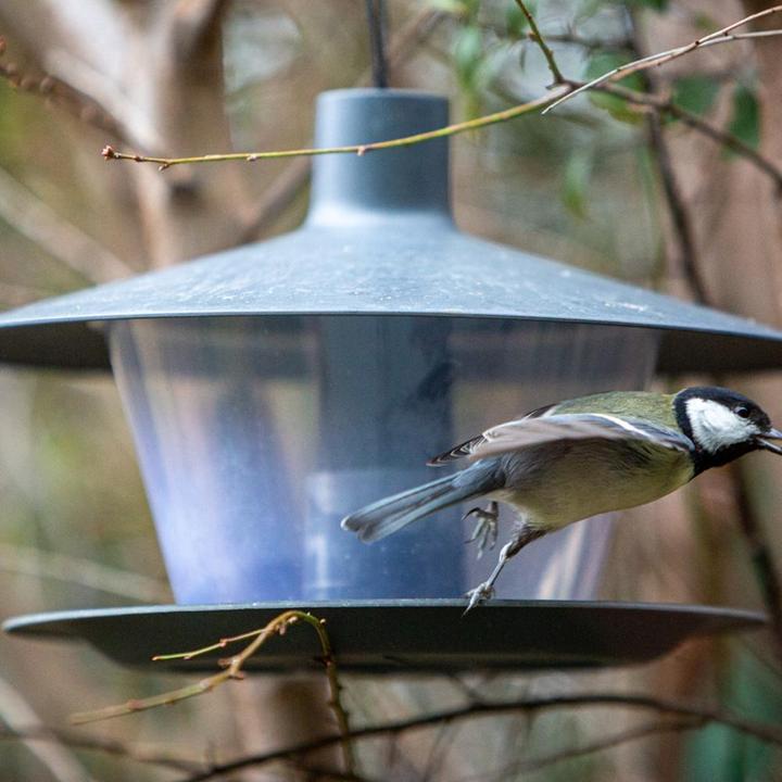 Produktbild Siena Garden Vogelhäuschen