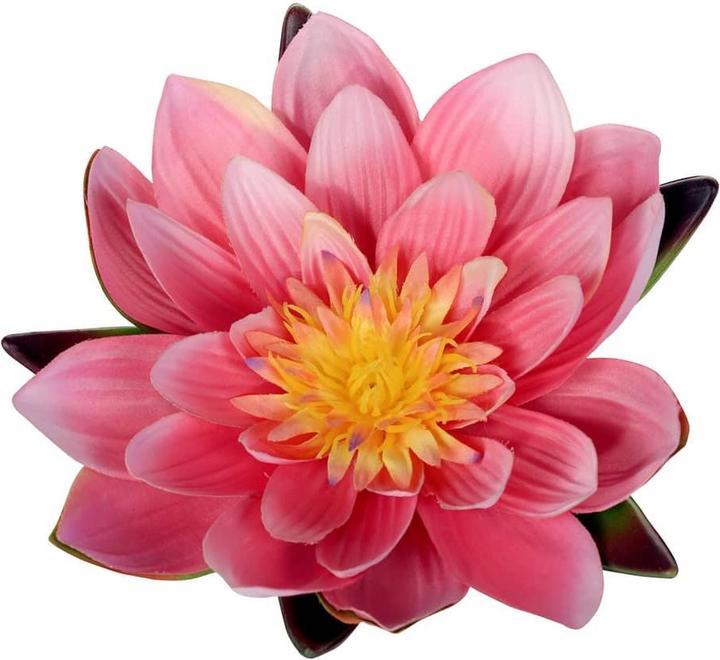 Produktbild Luwatex Seerose