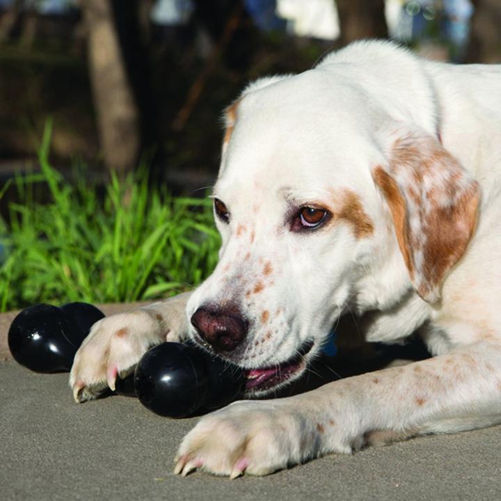Produktbild KONG Goodie Bone (Kauspielzeug Hund)