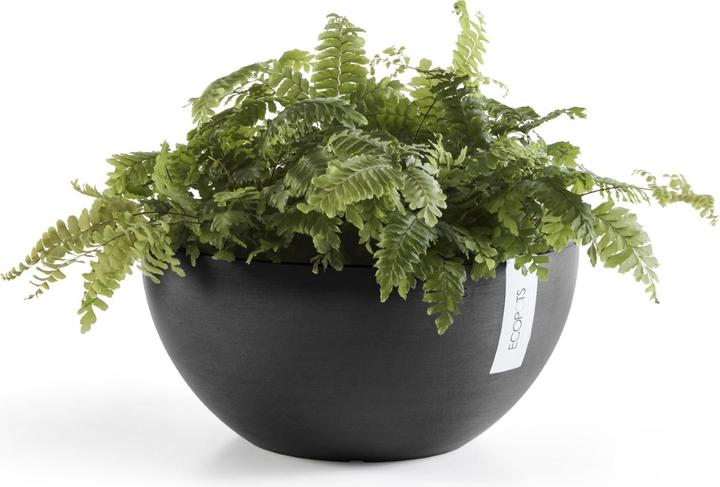 Actual product image Ecopots Brussels (30 cm)