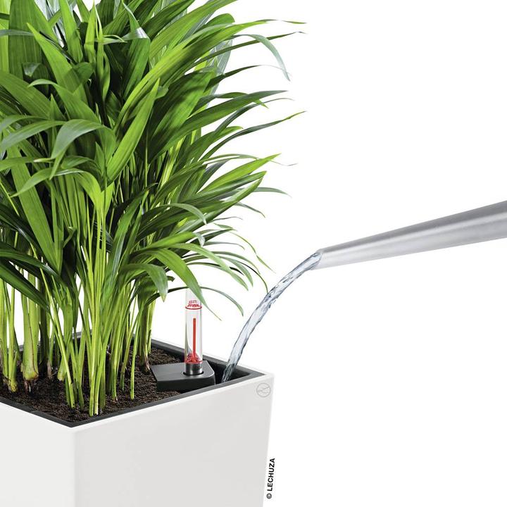 Produktbild Lechuza Cubico Color (39.50 cm)