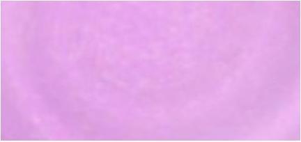 Immagine prodotto OPI Gelcolor Gel Nail Polish 15 Ml (Smalto per unghie effetto gel)