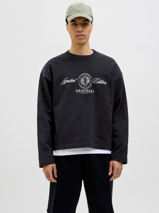 Produktbild Jack & Jones Jordia Sweat Crew Neck Ss25 (XXS)