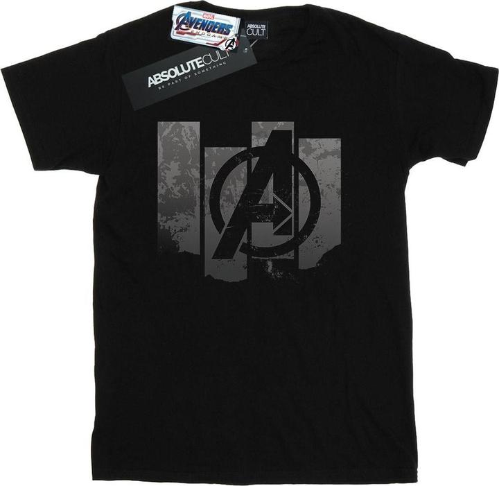 Avengers Endgame Panel Logo TShirt (5XL)