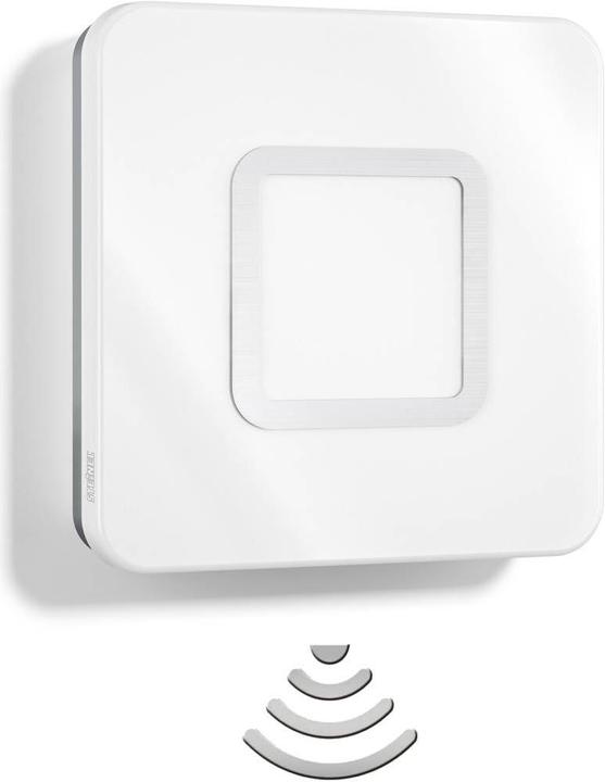 Actual product image Steinel Lights (560 lm)