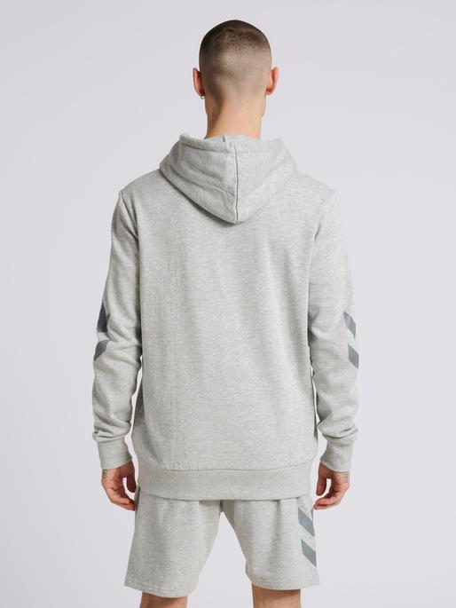 Actual product image hummel Legacy Zip Hoodie (M)