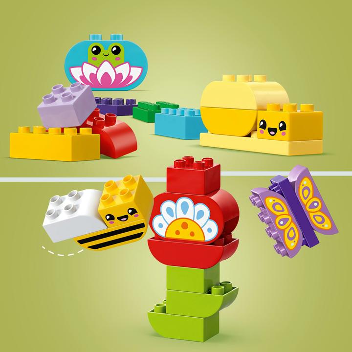 Actual product image LEGO Kreativer Blumengarten (10444)