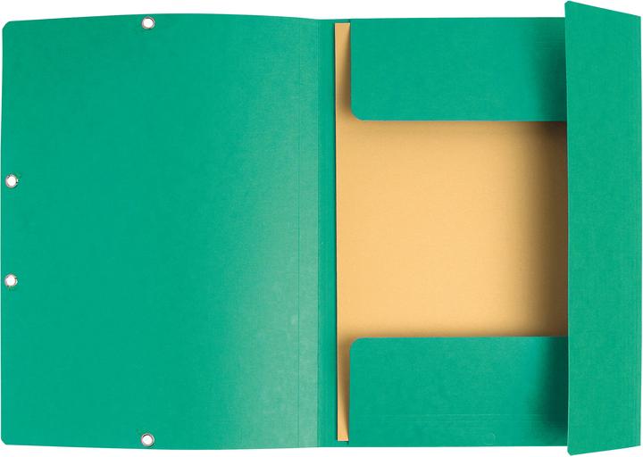 Image du produit Exacompta Chemise à élastique 3 rabats carte lustrée 355gm2 - A4 - Vert (A4, 1 x)