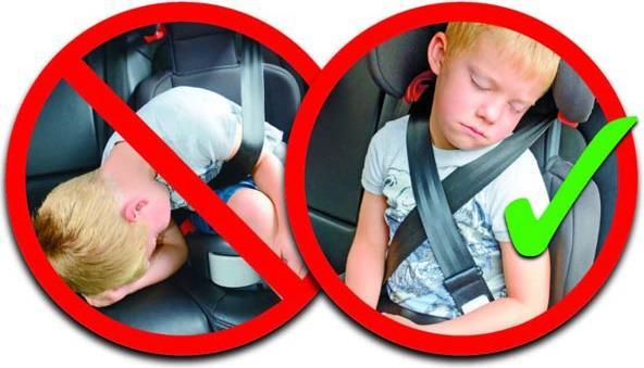 Actual product image Vital Baby BeltUpp safety belt