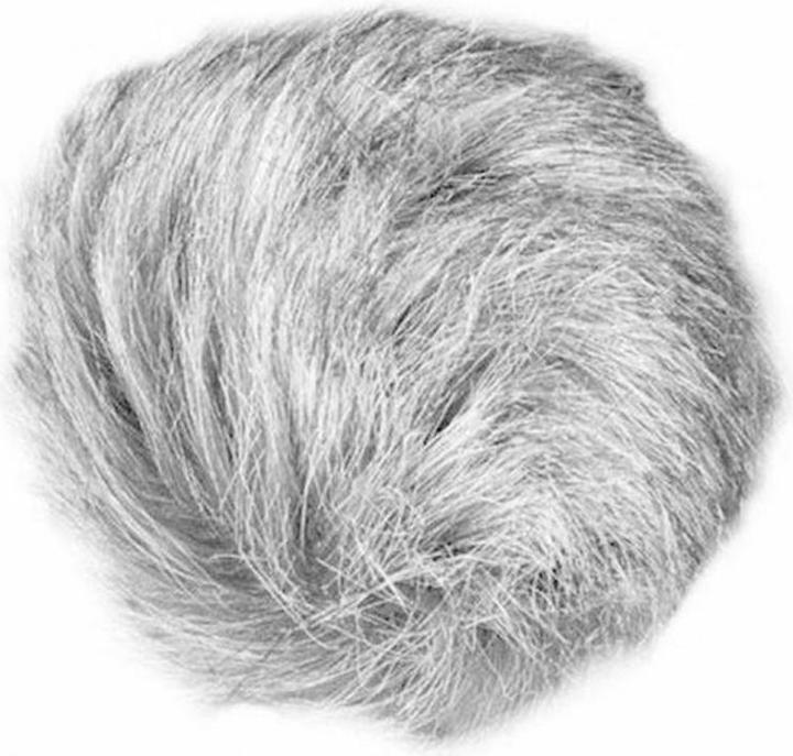 Zoom Wsu-1 (Frangivento)