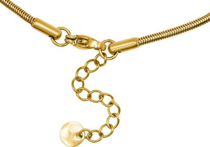 Immagine prodotto Heideman Teren color oro (100% acciaio inossidabile)