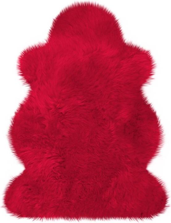 Rot