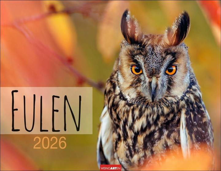 Immagine prodotto Eulen Kalender 2026 (44 x 34 cm, Copertina rigida, Tedesco, Inglese)