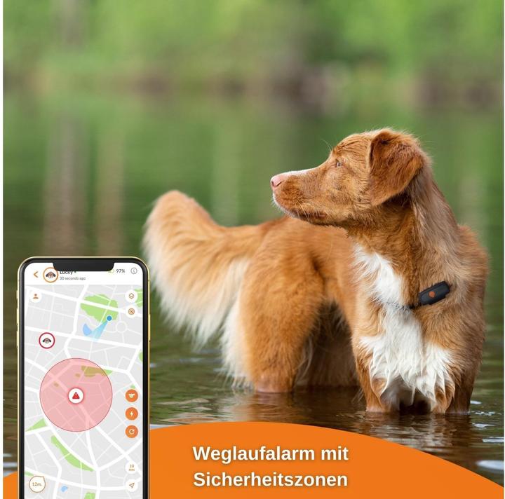 Produktbild Weenect GPS-Tracker (XS, Hund)
