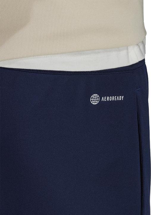 Actual product image adidas Entrada 22 training trousers men (S)