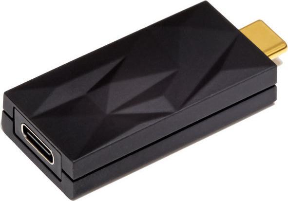 iFi Audio iSilencer+ USB-geluidsfilter met ANC (Accessoires)