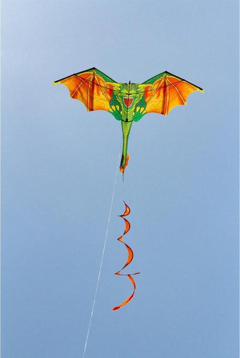 Produktbild HQ Kites Blaze The Dragon Kite