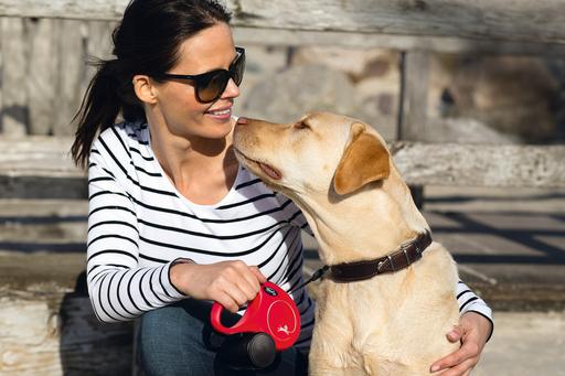 Actual product image Flexi New Classic L Belt 5m (L, Dog, Walks)