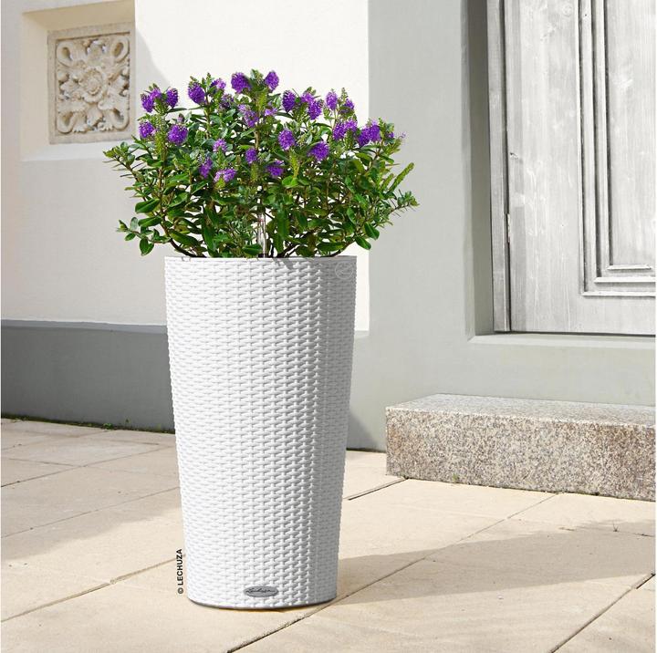 Actual product image Lechuza CILINDRO Cottage 23 (23 cm)